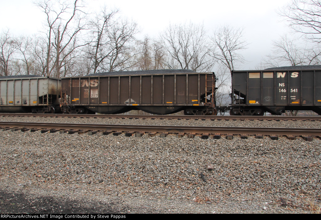 NS 10217